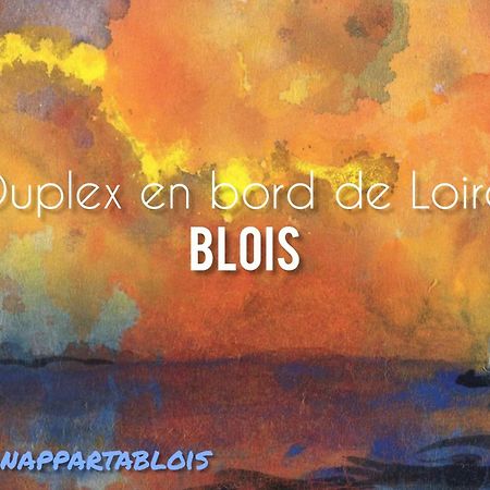 דירות בלואה Duplex 60 M2 Bord De Loire מראה חיצוני תמונה