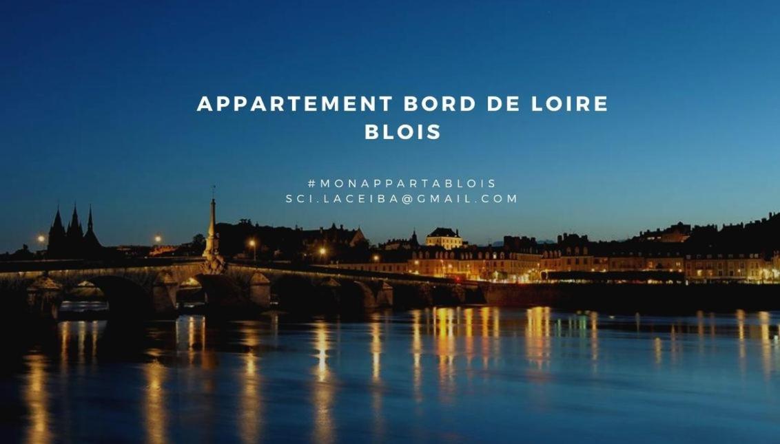 דירות בלואה Duplex 60 M2 Bord De Loire מראה חיצוני תמונה