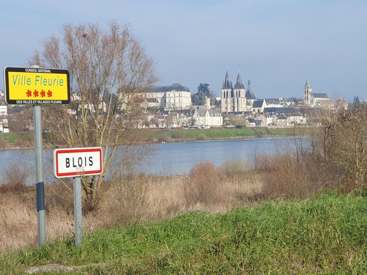 דירות בלואה Duplex 60 M2 Bord De Loire מראה חיצוני תמונה