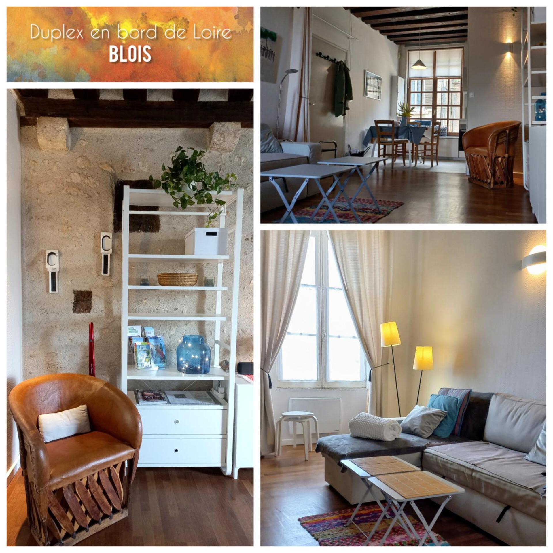דירות בלואה Duplex 60 M2 Bord De Loire מראה חיצוני תמונה